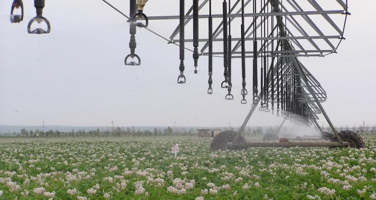 大型喷灌机灌溉图片集