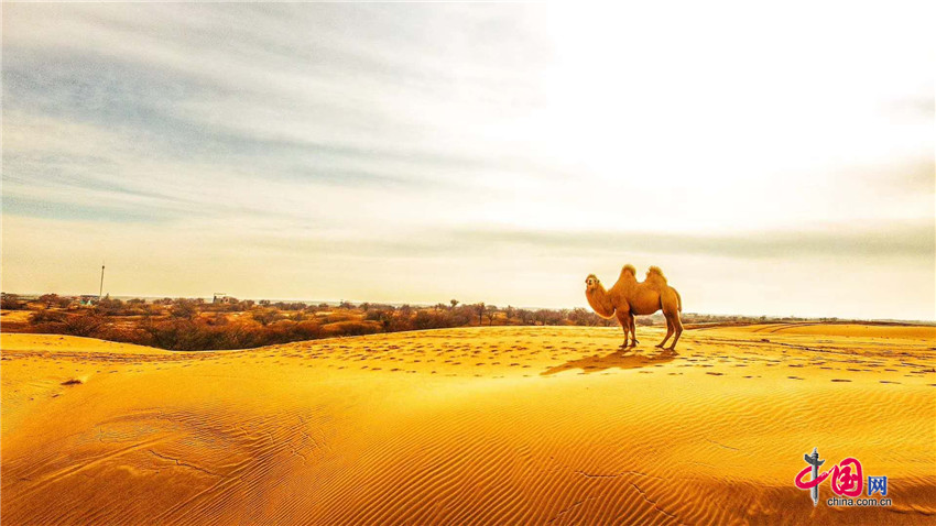 1047532895698674.jpg 02.jpg