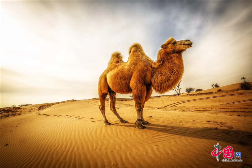 1048011698155609.jpg 03.jpg