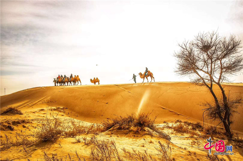 1048103174038282.jpg 04.jpg