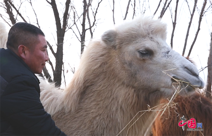 1048187915665499.png 05.png