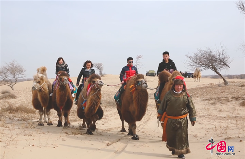 1048261447650004.png 06.png