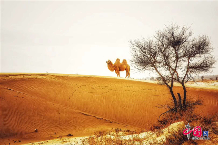 1048348470731606.jpg 07.jpg