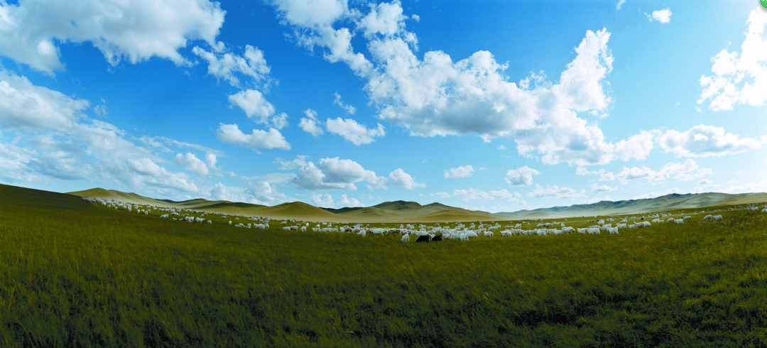 珠日河草原 科左后旗阿古拉草原旅游区——科左中旗珠日河草原旅游区